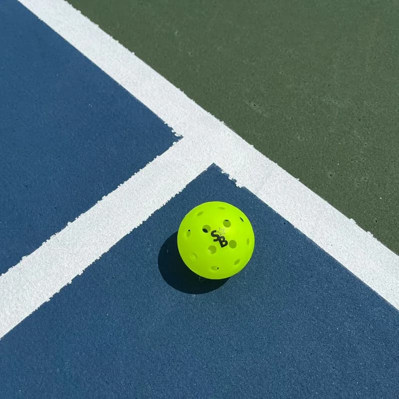 Pickleball net stretched across a court